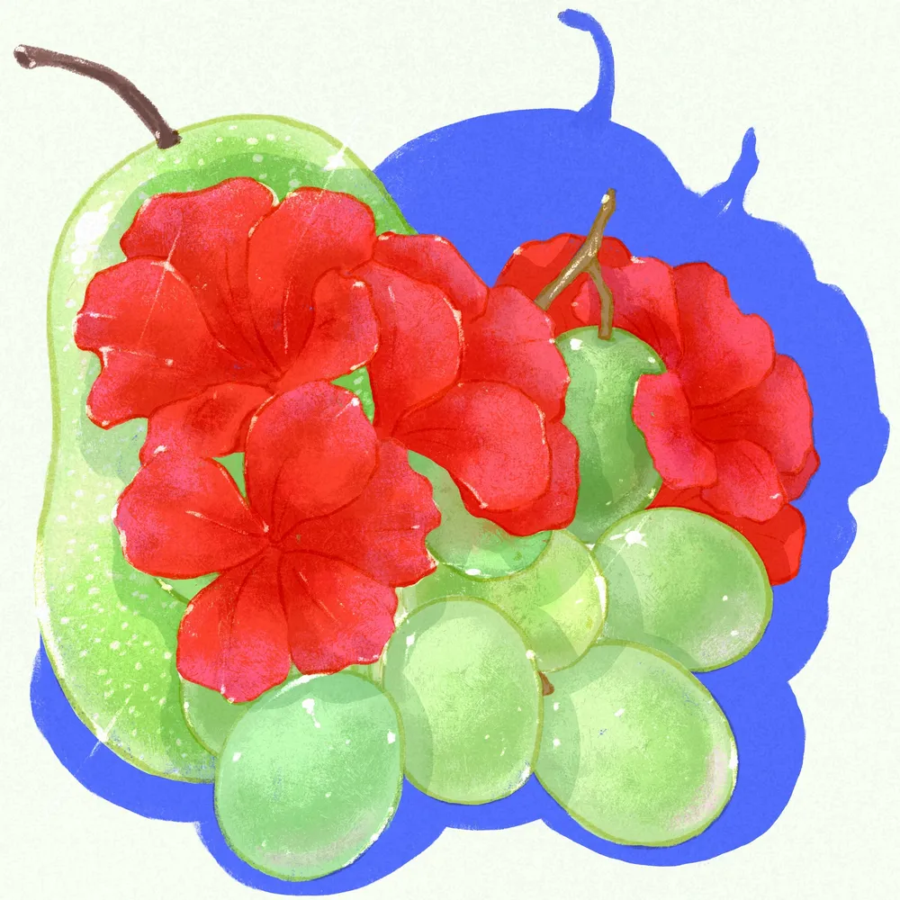 Typica - Anaerobic Washed - Pillcocaja Coffee — Hydrangea Coffee Roasters listing image.