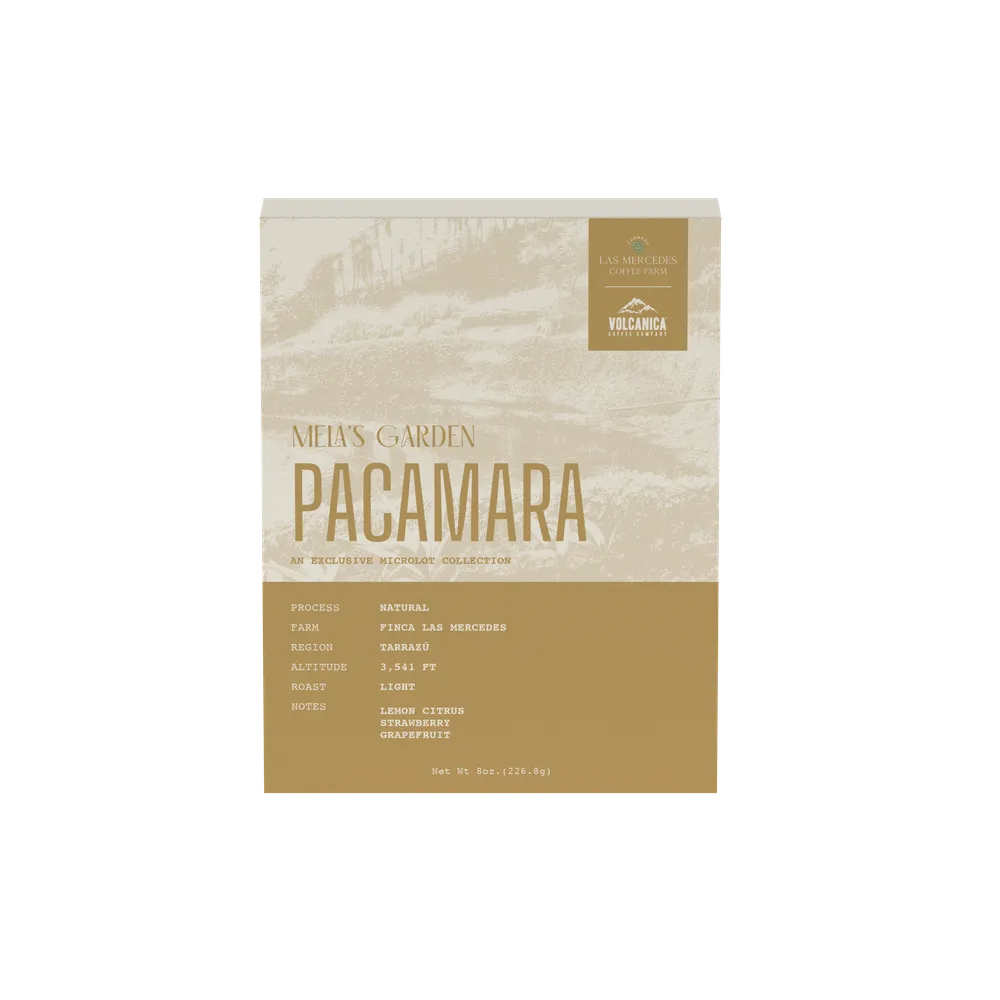 Costa Rica Pacamara Natural - Finca Las Mercedes — product reference supplied with the Volcanica Coffee listing.